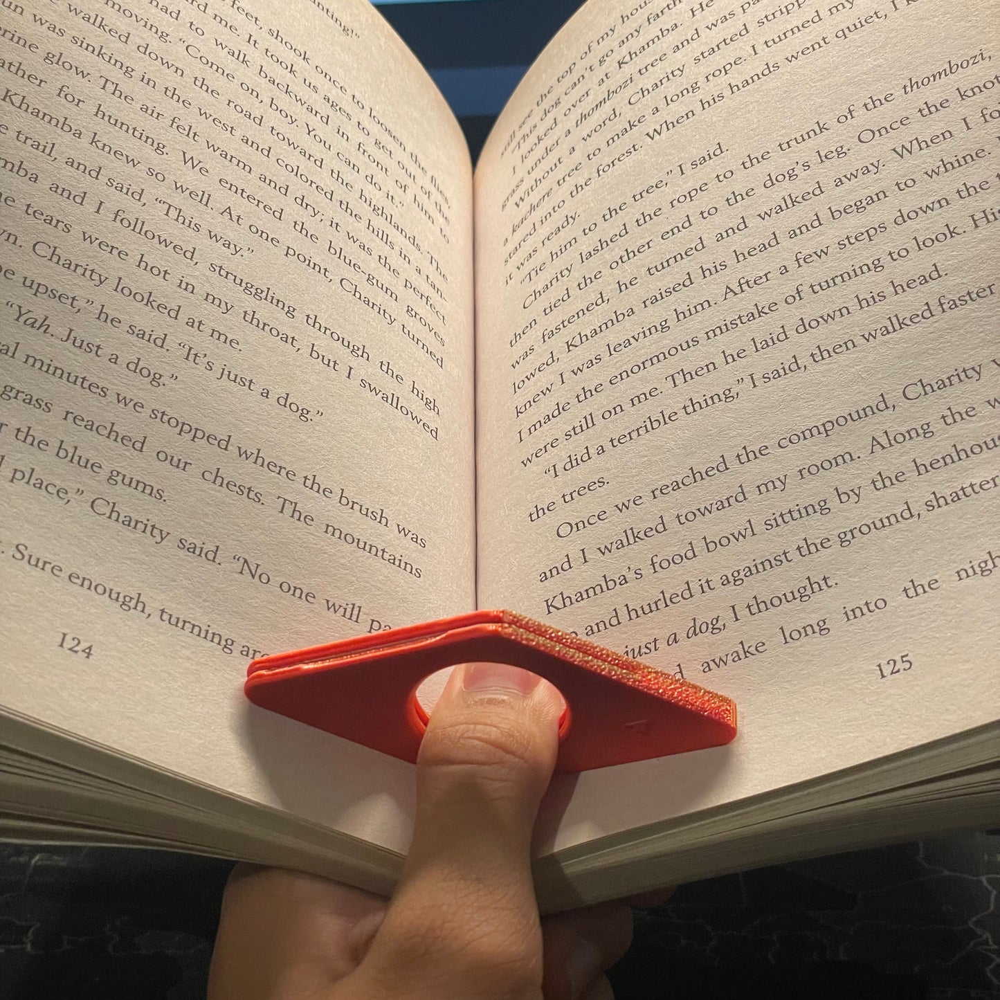 Diamond Book Mark